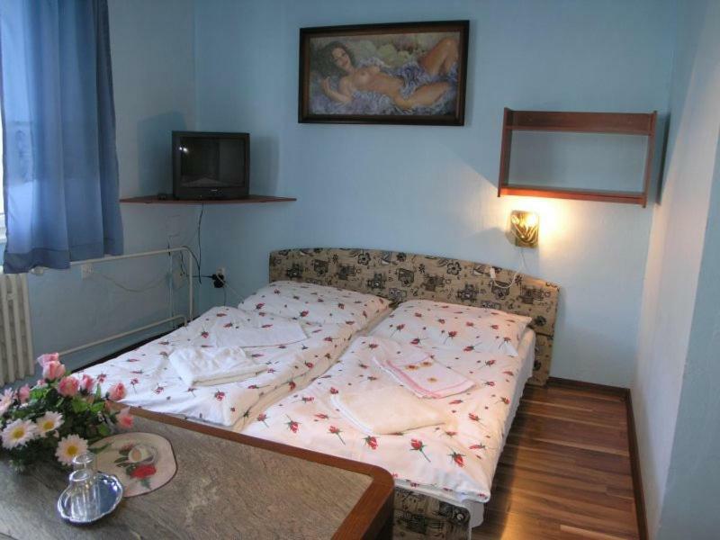 Biela Labut Hotel Михаловце Екстериор снимка